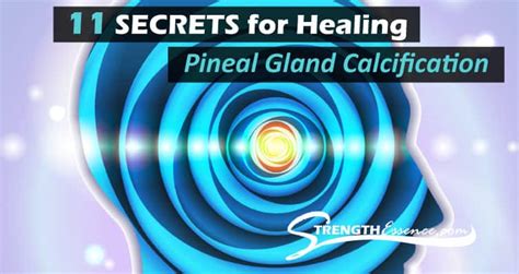 Pineal-Gland-Calcification - Strength Essence