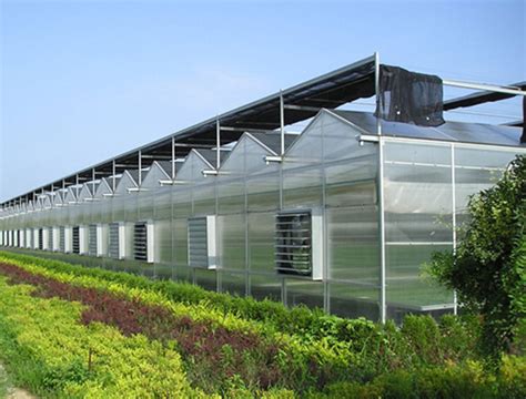 Venlo Multi Span PC Board Greenhouse Manufacturers And Venlo Multi Span