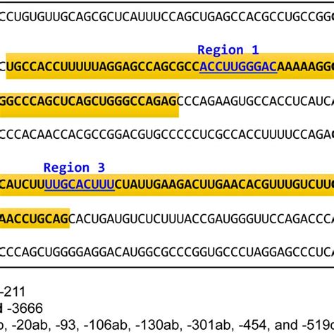 Nucleotide Sequence Of The 3 Untranslated Region UTR Of CHD5 Three