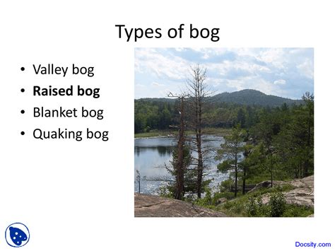 Types of Bog - General Ecology - Lecture Slides - Docsity