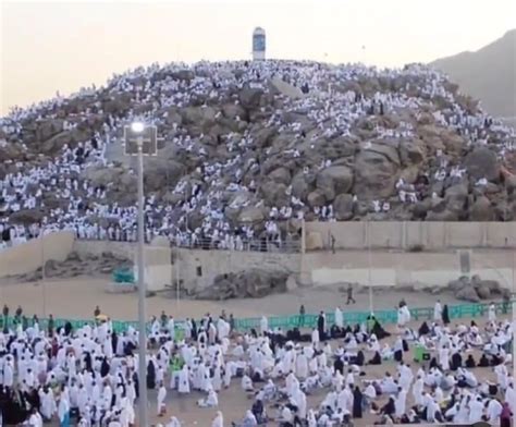 Jamaah Haji Mulai Diberangkatkan Ke Arafah Juni Besok Mulai Wukuf