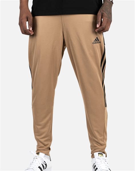 Adidas Tiro 21 Track Pants Dtlr