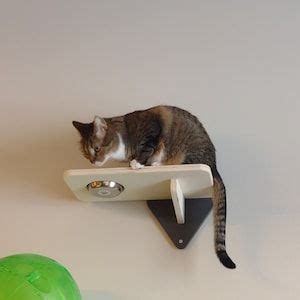 Parque Infantil De Pared Para Gatos De 5 Piezas Escaleras Para Gatos