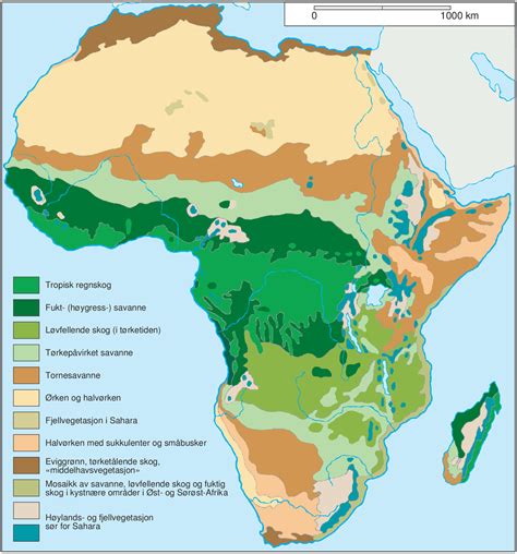 Planteliv I Afrika Store Norske Leksikon