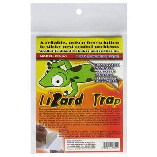 Lizard Trap with Bait (4 traps) EN-167 (Non-toxic/Disposable) by ...