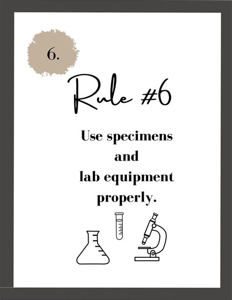 Lab Safety Rules Etsy