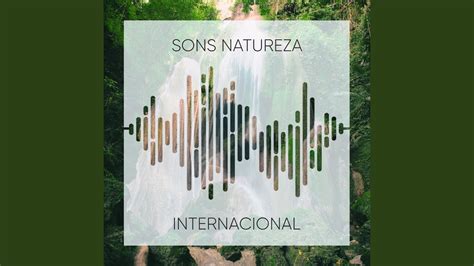 Sons Naturais YouTube