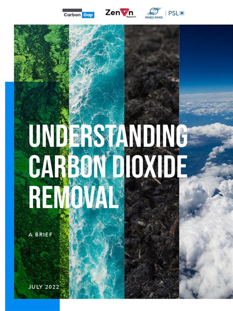 A Comprehensive Overview of Carbon Dioxide Removal Methods: Established Techniques, Emerging ...