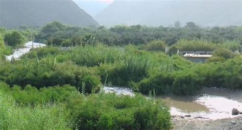 Crecida del Río Osmore desata emergencia en Ilo EDICION CORREO