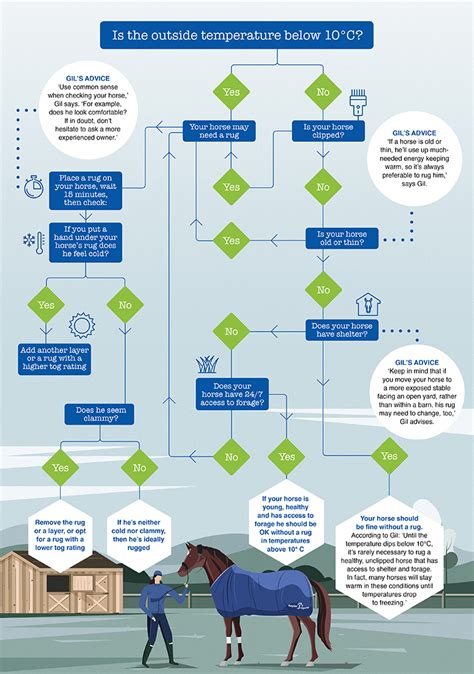 Rugs Temperature For Horses Bryont Blog