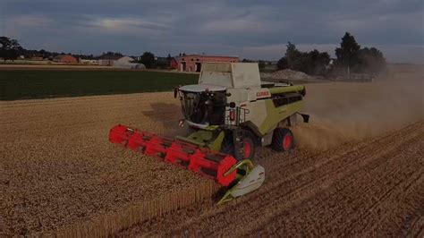 Niwa Pszenicy Claas Lexion Cerio X John Deere