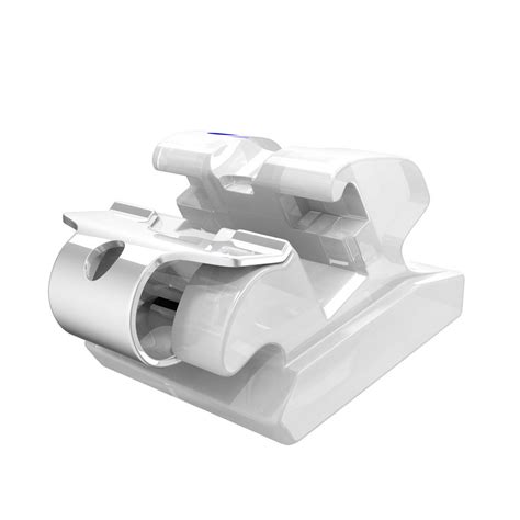 Experience Ceramic Mbt Maxillary Gc Orthodontics Inc