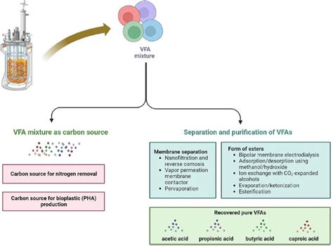 Schematic illustration showing the various bioproducts from VFAs ...