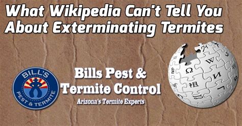 What Wikipedia Can T Tell You About Exterminating Termites