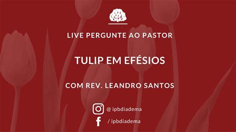 OS CINCO PONTOS DO CALVINISMO Rev Leandro Rocha Dos Santos YouTube