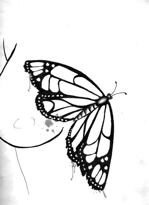 Flying Butterfly Sketch at PaintingValley.com | Explore collection of ...