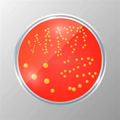 Realistic Illustration Of Petri Dish With Bacteria Isolated