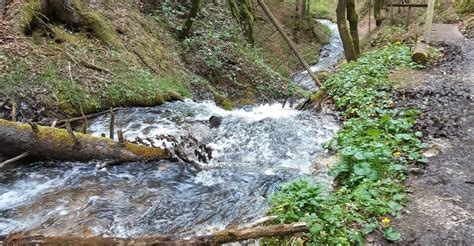 Hohenberg Hofamt Finsterholz Wasserf Lle Bergfex Wanderung