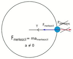 Merkezcil Kuvvet Ve Merkezka Kuvveti Nedir Fizik Dersi