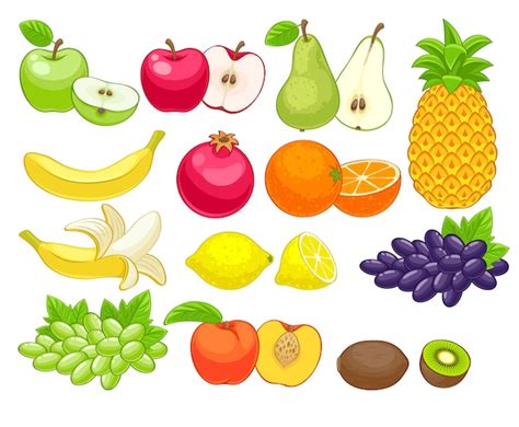 Conjunto De Frutas Variadas Vector Premium