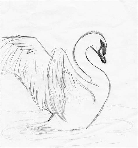 De 25+ bedste idéer inden for Swan drawing på Pinterest | Drawing ...