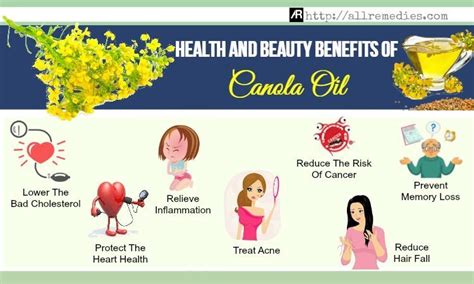 19 Health And Beauty Benefits Of Canola Oil