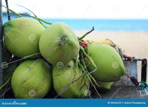 Coconut Stock Image Image Of Vegetarian Natural Fruit 59434239