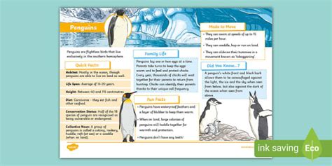Penguins Fact File - Twinkl - KS2 - Animals (teacher made)