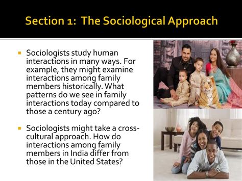 Ppt Sociology Powerpoint Presentation Free Download Id3032575