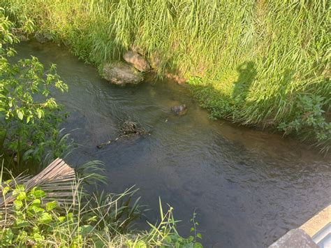 V Deo Motociclista Fica Ferido Ap S Colidir Em Mureta De Ponte Em Ilhota