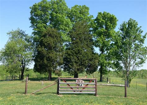 Hudson Cemetery In Red Boiling Springs Tennessee Find A Grave Cemetery