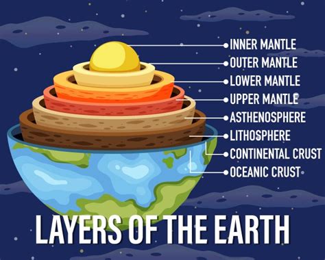 Layers of the earth lithosphere Royalty Free Vector Image