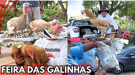 VEJA A MAIOR FEIRA DAS GALINHAS TRADIÇÃO DO SERTÃO EM DOIS RIACHOS AL