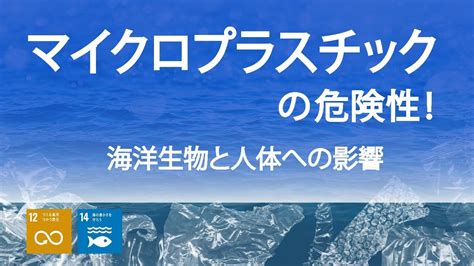 欧州の排ガス規制「ユーロ7」とは？開始の時期や概要を解説 Go Green Musuhi