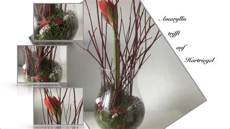 Diy Dekoidee Amaryllis Trifft Auf Hartriegel Edle Weihnachtsdeko Fix