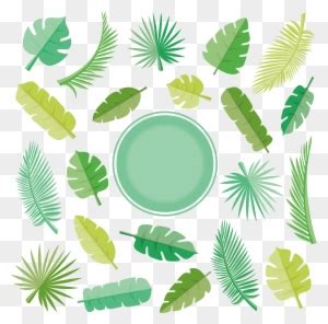 Leaf Arecaceae Euclidean Vector Illustration Banana Leaf Clip Art