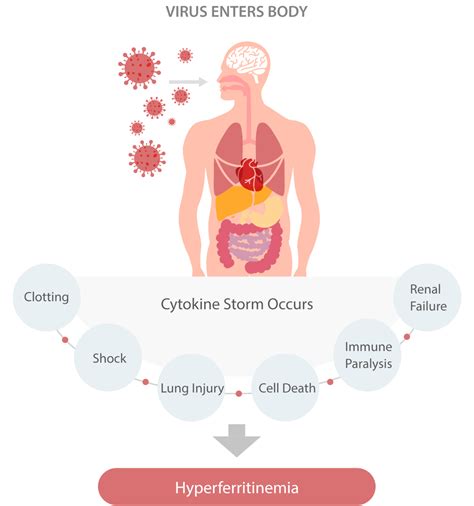 How Ferritin Is Connected With Covid Mindray India