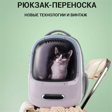 Рюкзак переноска для кошек и собак Сумка для животных Petkit Breezy v 2 ...