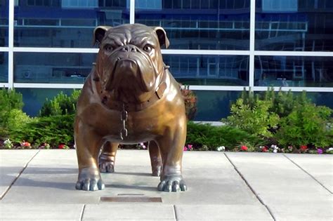 gonzaga bulldogs