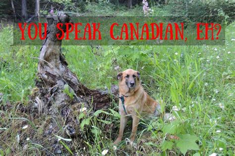 Canadian Slang Beginner S Guide For Travellers Backcountry Canada