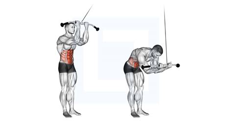 Cable Standing Crunch Guide Benefits And Form