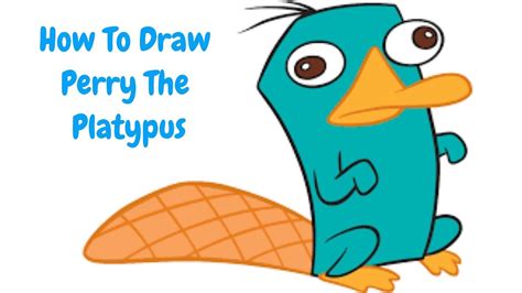 Perry Platypus Drawing | Free download on ClipArtMag