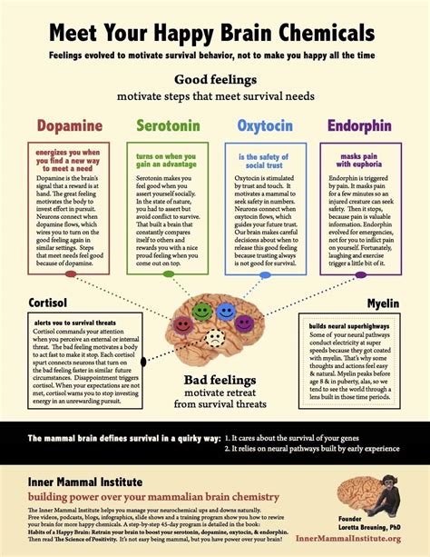 Infographics You Have Power Over Your Brain The Inner Mammal Institute