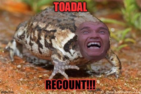 Toadal Recount - Imgflip