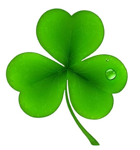 St Patricks Day Shamrocks Clipart Free Download On Clipartmag