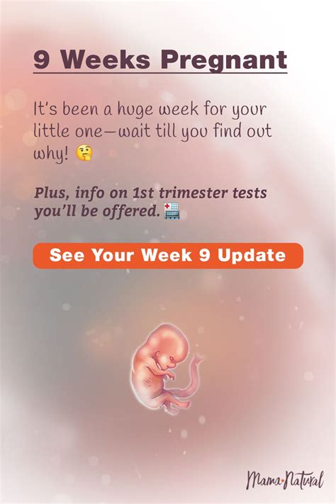 09 9 Weeks Pregnant Pregnancy Guide Pregnancy Week By Week