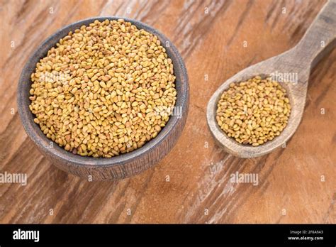 Medicago Sativa Organic Alfalfa Seeds In The Wooden Bowl Stock Photo