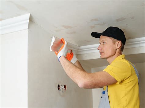 Mold Restoration Services Mold Removal Fountain Valley And Huntington