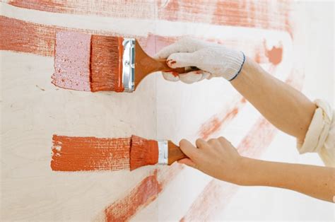 Choosing The Best Paint Primer For Dry Walls A Basic Guide To Read