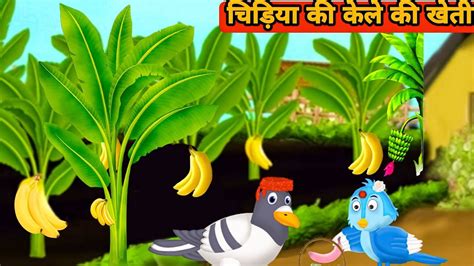 चिड़िया की केले की खेती Cartoon Chidiya Wala Cartoon Hindi Ituni